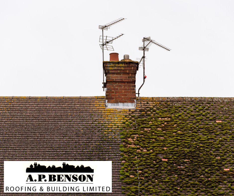 Roof Cleaning before and after